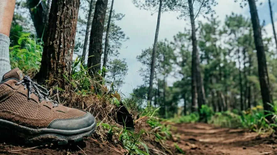 trekking shoes