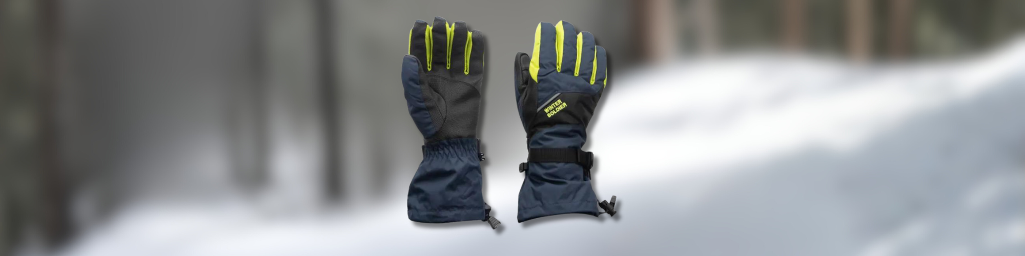 Winter Gloves