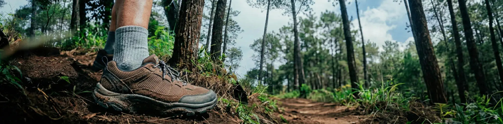 trekking shoes