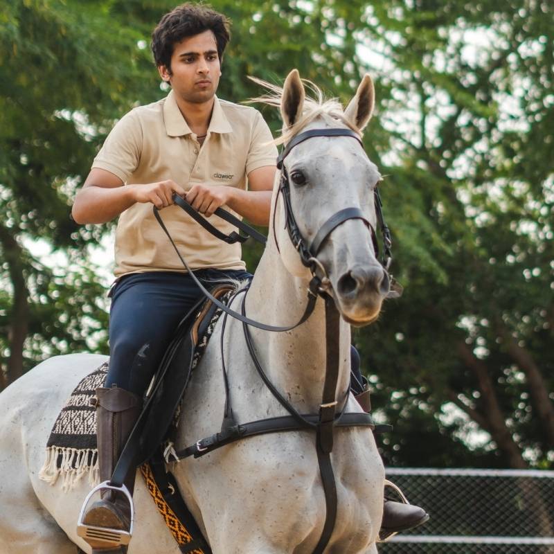 Clawear men's Bandhavgarh polo T-shirt featuring a classic polo collar, short sleeves, and a casual fit in vibrant colors.