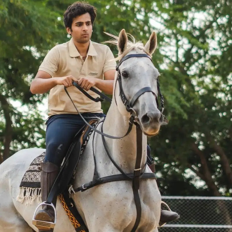 Clawear men's Bandhavgarh polo T-shirt featuring a classic polo collar, short sleeves, and a casual fit in vibrant colors.
